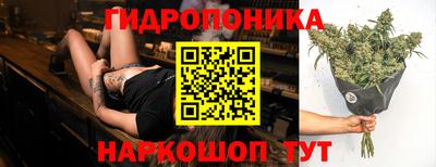 гашик Малгобек