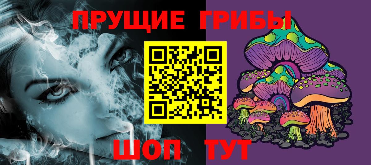 Галлюциногенные грибы Psilocybe  Вход с VPN  где найти   Великий Новгород 