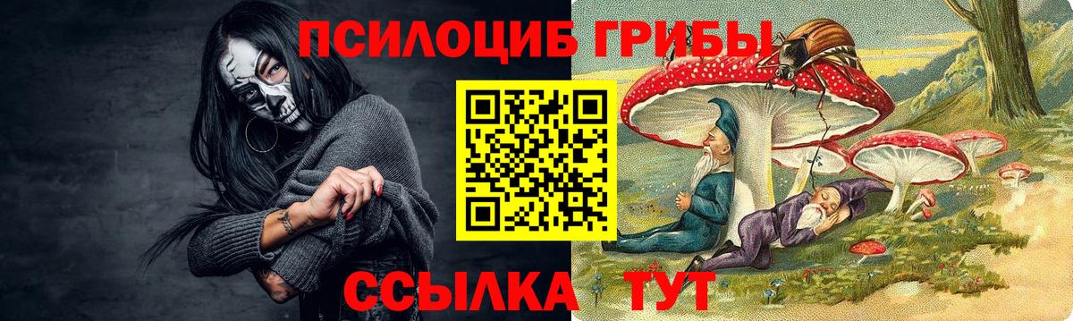 Галлюциногенные грибы мицелий Великий Новгород